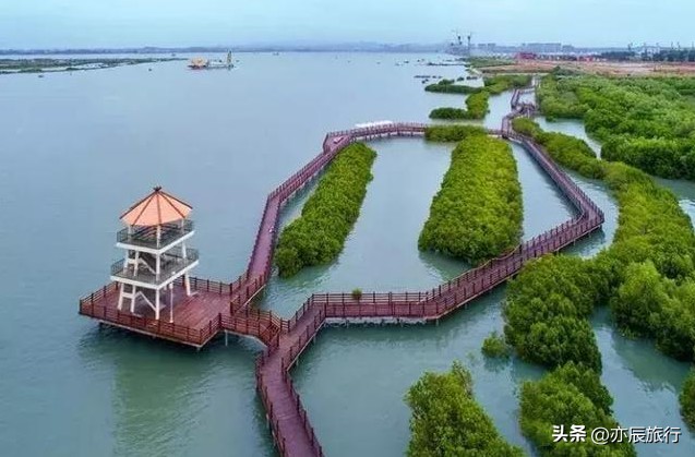 广东茂名旅游六大必去景点2024春节旅游最合适的地方